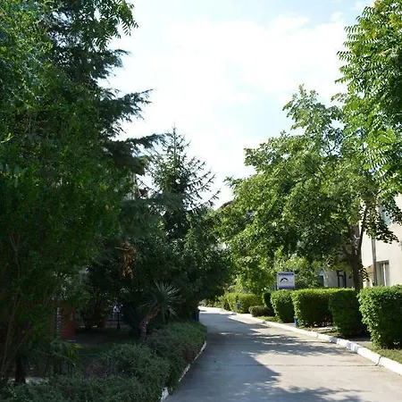 Daire Bravo 1 George